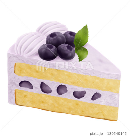 ブルーベリーたっぷりブルーベリーショートケーキのイラスト素材