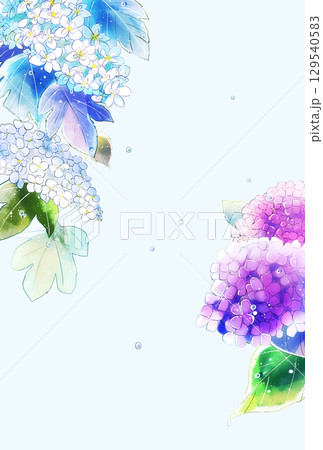 紫陽花と雫　縦　ハガキサイズ 129540583