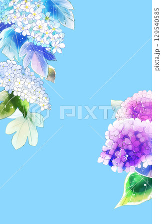 紫陽花　雫なし　縦　ハガキサイズ 129540585