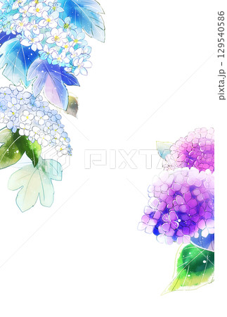 紫陽花 雫なし 縦 ハガキサイズ 紫陽花 雫なし 縦 ハガキサイズ 129540586