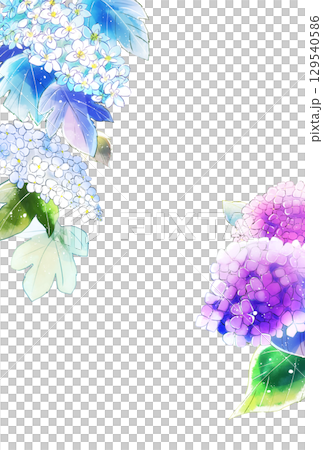 紫陽花 雫なし 縦 ハガキサイズ 紫陽花 雫なし 縦 ハガキサイズ 129540586