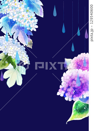 紫陽花と雨 縦 ハガキサイズ 紫陽花と雨 縦 ハガキサイズ 129540600