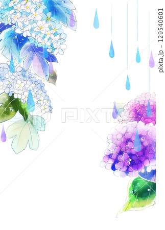 紫陽花と雨 縦 ハガキサイズ 紫陽花と雨 縦 ハガキサイズ 129540601