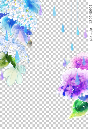 紫陽花と雨 縦 ハガキサイズ 紫陽花と雨 縦 ハガキサイズ 129540601