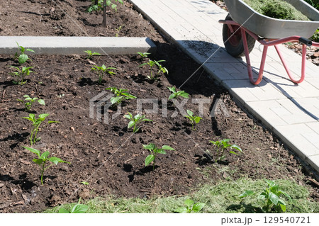 Mulching Mulching 129540721