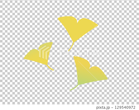 Illustration of ginkgo Illustration of ginkgo 129540972