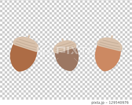 Acorn illustrations Acorn illustrations 129540976