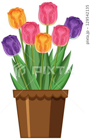 Vibrant Tulips in a Brown Pot Illustration Vibrant Tulips in a Brown Pot Illustration 129542135