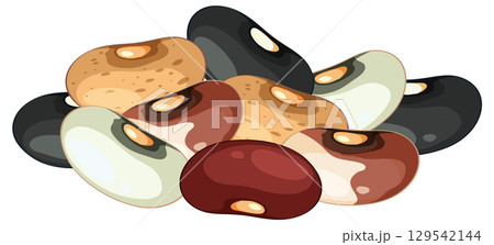 Assorted Mixed Beans Vector Illustration on White Background 129542144