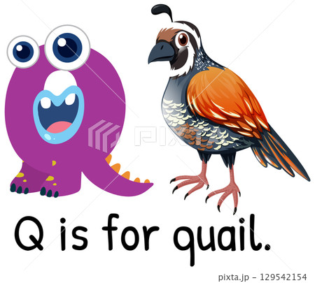 Alphabet Illustration: Q is for Quail 129542154
