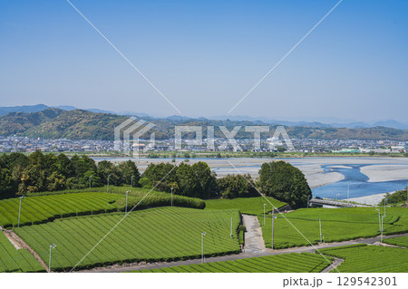 島田市の中條景昭像公園周辺の風景(静岡県) 129542301