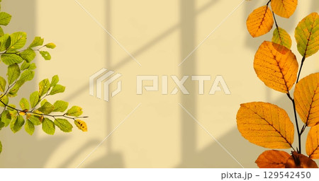Image of leaves on branches over shadows on beige wall 129542450