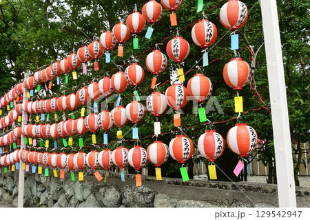 猿田彦神社と提灯 猿田彦神社と提灯 129542947