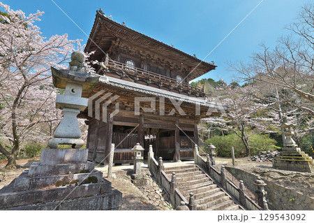 【箸蔵寺 (仁王門)】 徳島県三好市池田町州津蔵谷 129543092