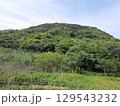 生い茂った山　山　小山 129543232