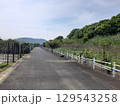 田舎の長閑な風景 129543258