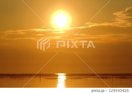 大牟田市　有明海　海苔畑、 129543420