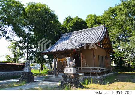 埼玉県深谷市本田の本田八幡神社 129543706