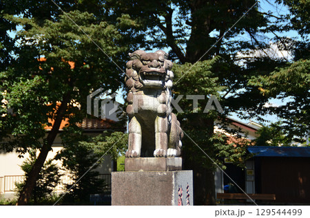 埼玉県深谷市本田の本田八幡神社 129544499