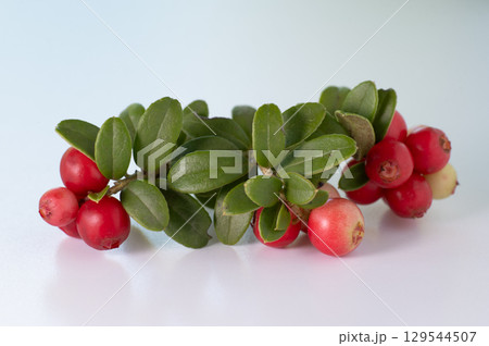 Red ripe lingonberry (cowberry) with leaves on white background. Red ripe lingonberry (cowberry) with leaves on white background. 129544507