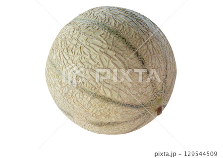 Whole cantaloupe melon isolated on white background Whole cantaloupe melon isolated on white background 129544509