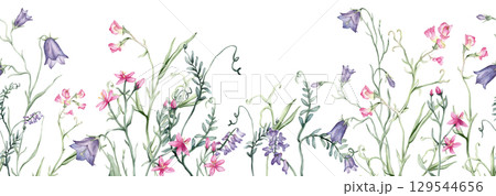 Seamless horizontal border or banner with pink purple wildflowers. Hand drawn watercolor illustration on white isolated background. Summer floral pattern for frame or banner with blue bluebells. 129544656