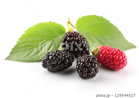 Mulberries on background. Juicy black and red berries, fresh and sweet. Generated AI Mulberries on background. Juicy black and red berries, fresh and sweet. Generated AI 129544817