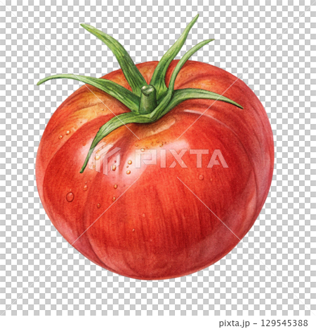 Watercolor Vegetables Clipart White Background 129545388
