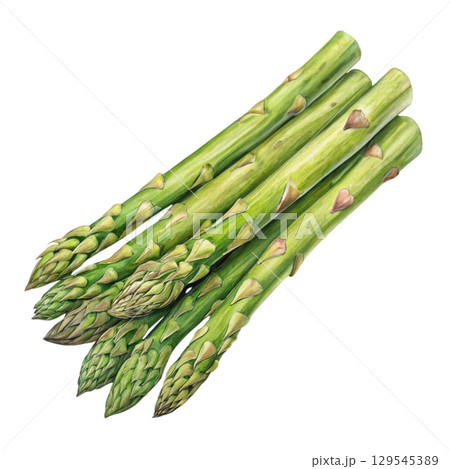 Watercolor Vegetables Clipart White Background 129545389