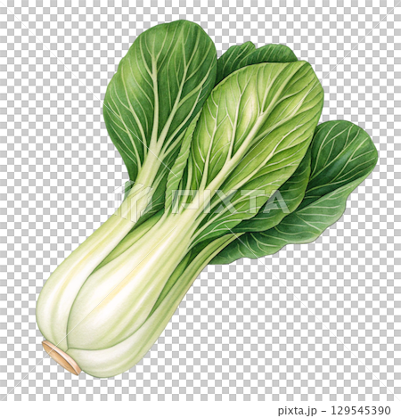 Watercolor Vegetables Clipart White Background 129545390