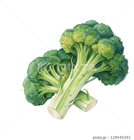 Watercolor Vegetables Clipart White Background 129545391