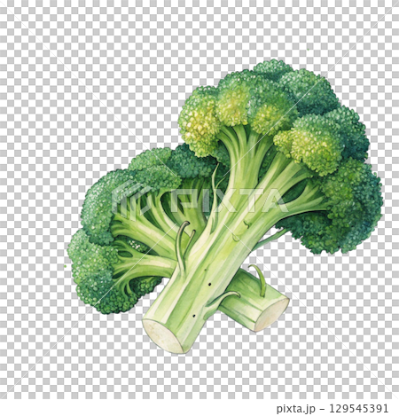 Watercolor Vegetables Clipart White Background 129545391