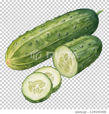 Watercolor Vegetables Clipart White Background Watercolor Vegetables Clipart White Background 129545406