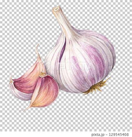 Watercolor Vegetables Clipart White Background Watercolor Vegetables Clipart White Background 129545408