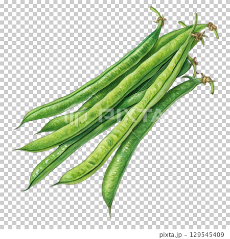 Watercolor Vegetables Clipart White Background 129545409