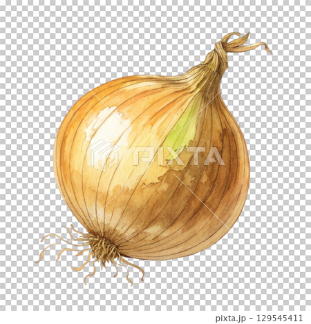 Watercolor Vegetables Clipart White Background 129545411