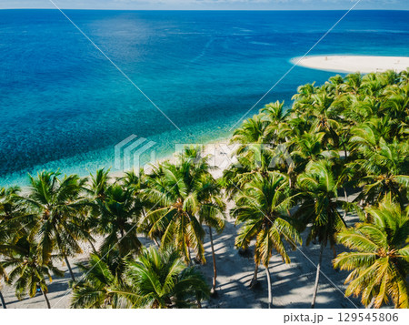 Aerial view of palm beach with crystal clear turquoise ocean on a sunny day. 129545806