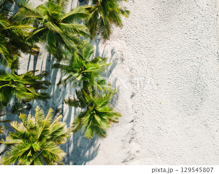 Palm trees grove on Maldives tropical beach. Drone top down view 129545807