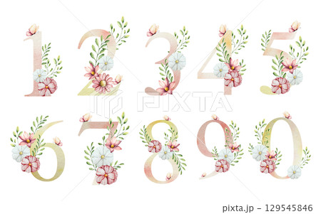Set of numbers one, two, three, four, five, six, seven, eight, nine, zero with flowers and leaves, butterfly. Watercolor gerbera, chamomile, echinacea. Hand drawn wildflower art isolated on background 129545846