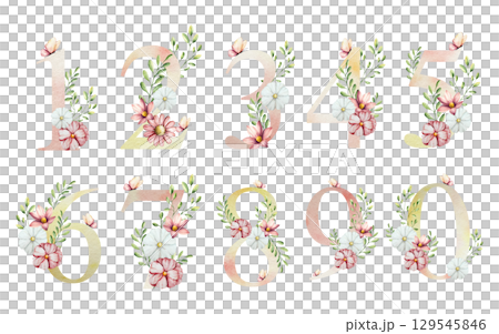 Set of numbers one, two, three, four, five, six, seven, eight, nine, zero with flowers and leaves, butterfly. Watercolor gerbera, chamomile, echinacea. Hand drawn wildflower art isolated on background 129545846