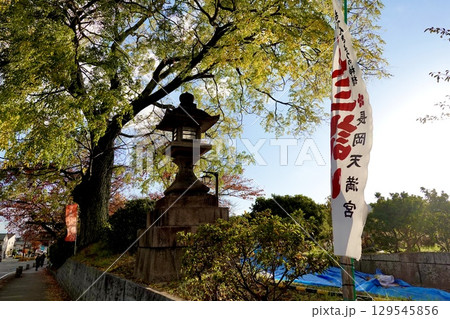 長岡天満宮（長岡天神）の紅葉が見える風景　京都府長岡京市 129545856