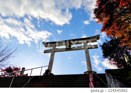 長岡天満宮（長岡天神）の大鳥居と紅葉が見える風景　京都府長岡京市 129545862