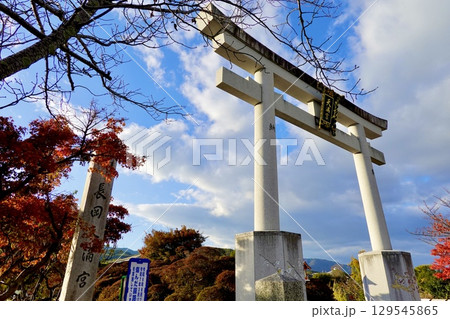 長岡天満宮（長岡天神）の大鳥居と紅葉が見える風景　京都府長岡京市 129545865