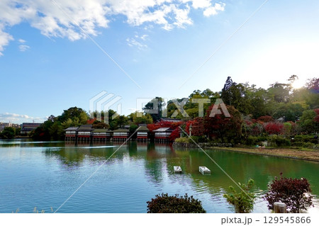 長岡天満宮（長岡天神）の八条ヶ池越しに錦水亭と紅葉が見える風景　京都府長岡京市 129545866