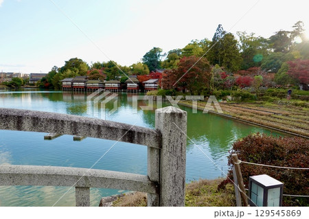 長岡天満宮（長岡天神）の八条ヶ池に架かる橋の欄干越しに錦水亭が見える風景　京都府長岡京市 129545869