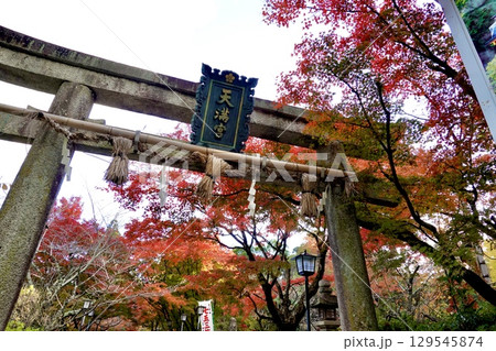 長岡天満宮（長岡天神）の鳥居の傍に紅葉が映える風景　京都府長岡京市 129545874