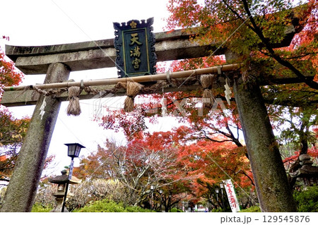長岡天満宮（長岡天神）の鳥居の傍に紅葉が映える風景　京都府長岡京市 129545876