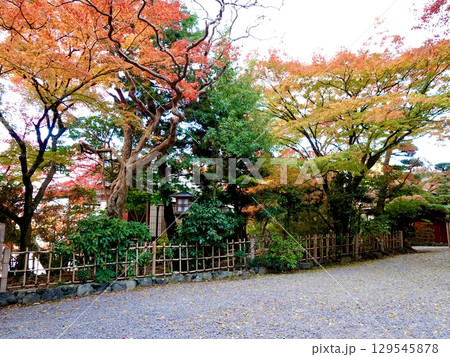 長岡天満宮(長岡天神)の境内で紅葉が映える風景 京都府長岡京市 長岡天満宮(長岡天神)の境内で紅葉が映える風景 京都府長岡京市 129545878