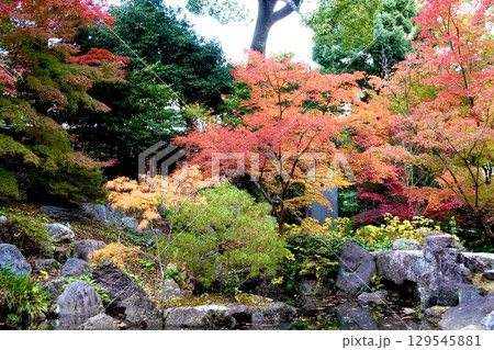長岡天満宮（長岡天神）の錦景苑の紅葉が映える風景　京都府長岡京市 129545881