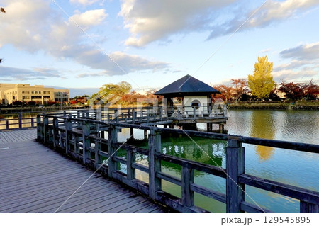 長岡天満宮（長岡天神）の八条ヶ池のほとりに紅葉が映える風景　京都府長岡京市 129545895